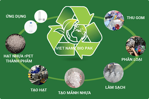 Quy Trình Tái Chế Nhựa
